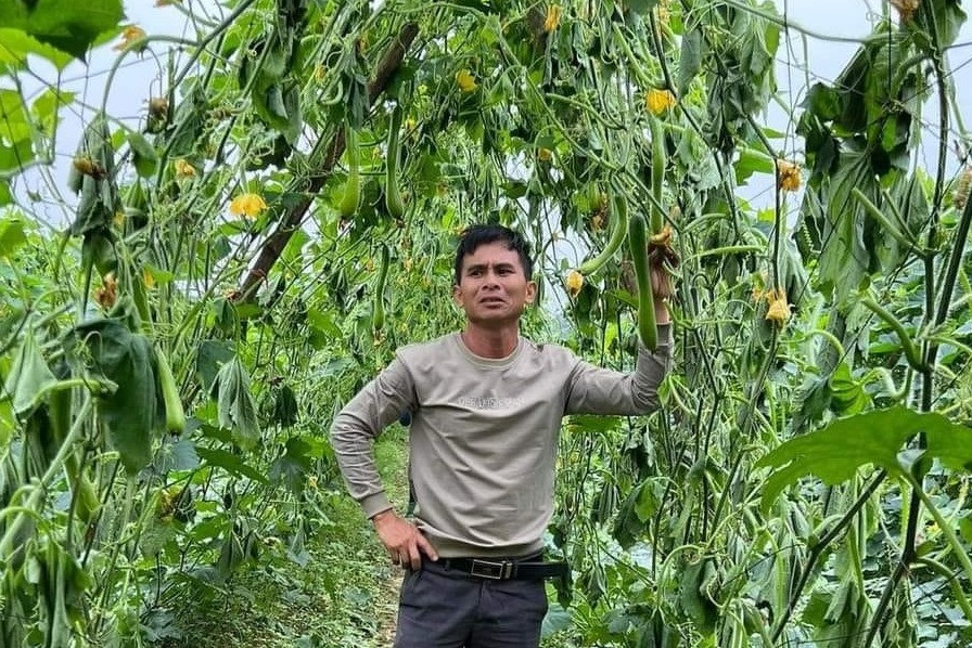 phahoai2.jpg