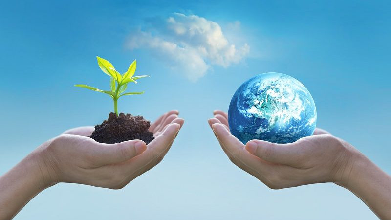 Viet Nam successfully reduces 35% of HCFCs consumption in 2020-2024 - Ảnh 1.