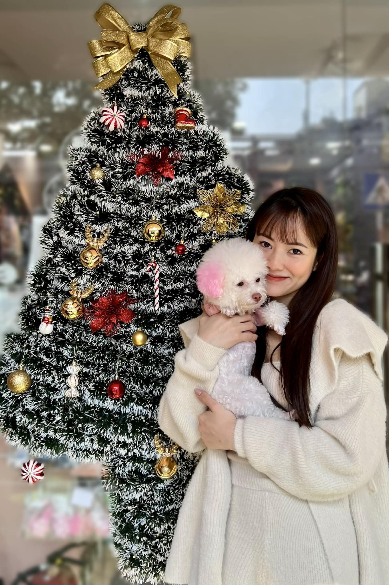 413857583 2250240048505842 1143825069548301640 n.jpg