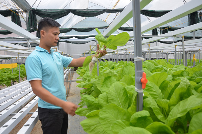 anh bai tuyen quang.jpg