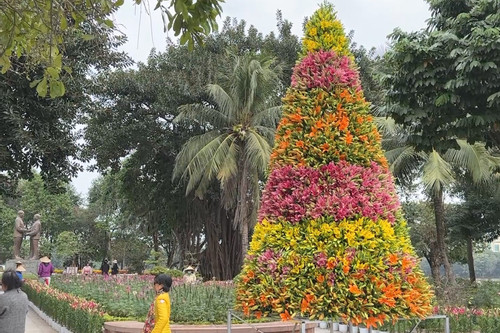 Độc đáo cây thông Noel được kết từ 2.000 cành hoa ly tại Hà Nội