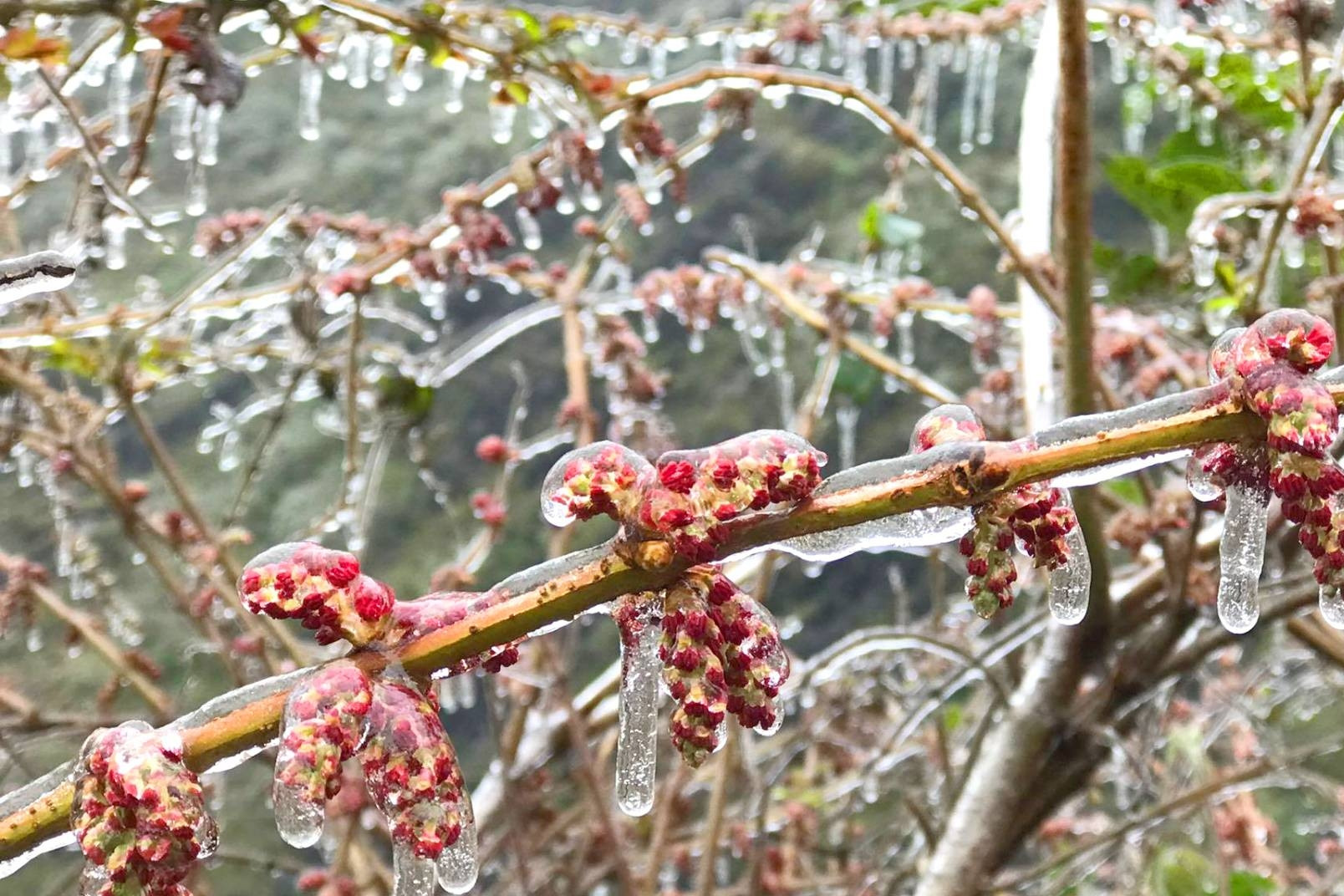 Dự báo thời tiết ngày 23/12/2023: Nhiệt độ xuống thấp, trời rét đậm rét hại