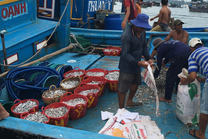 hai san binh dinh.png