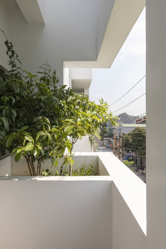 Thiết kế tạo khoảng trống và trồng cây xanh ở những khu vực tiếp xúc với ánh sáng mặt trời giúp giảm nhiệt độ, đảm bảo thông gió bên trong ngôi nhà. 