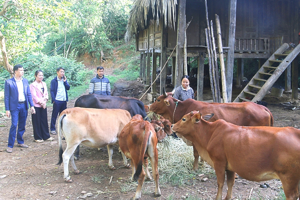 Những chuyển biến tích cực trong phát triển kinh tế tập thể ở Hà Giang