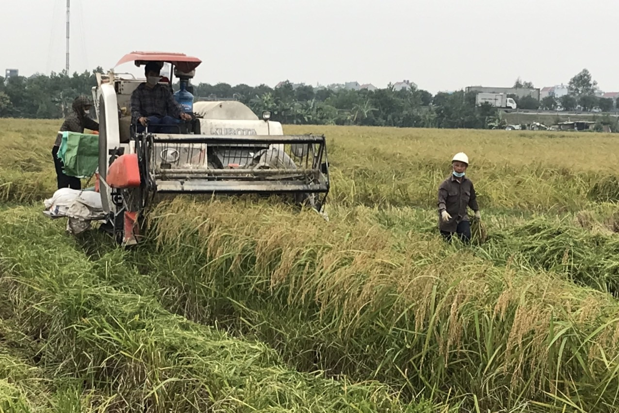 Sức vươn mạnh mẽ của kinh tế tập thể ở Bắc Ninh