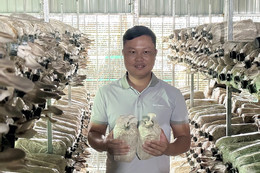 Bí quyết tạo doanh thu hơn 4 tỷ đồng mỗi năm của chàng trai miền Tây