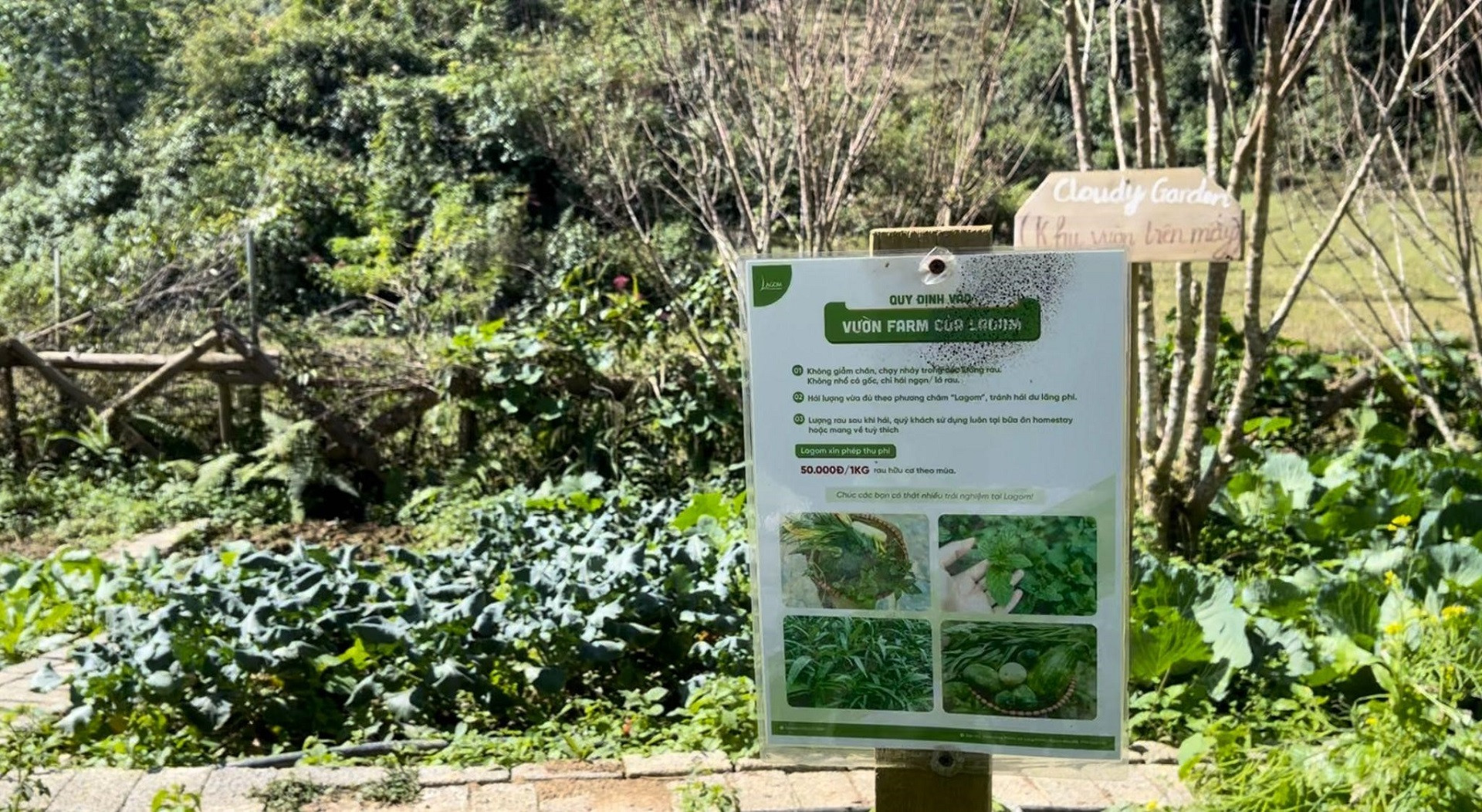 du khach duoc trai nghiem khong gian xanh tai xa lung phinh.jpg