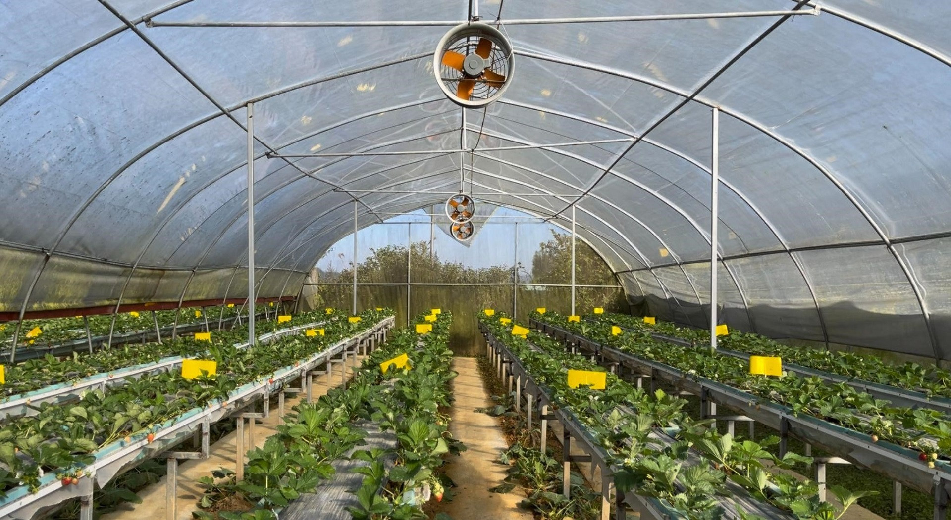 trang trai nong nghiep tro thanh diem den hap dan.jpg