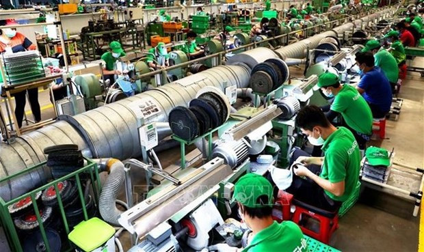 Firms expand business as 2024 nears hinh anh 1