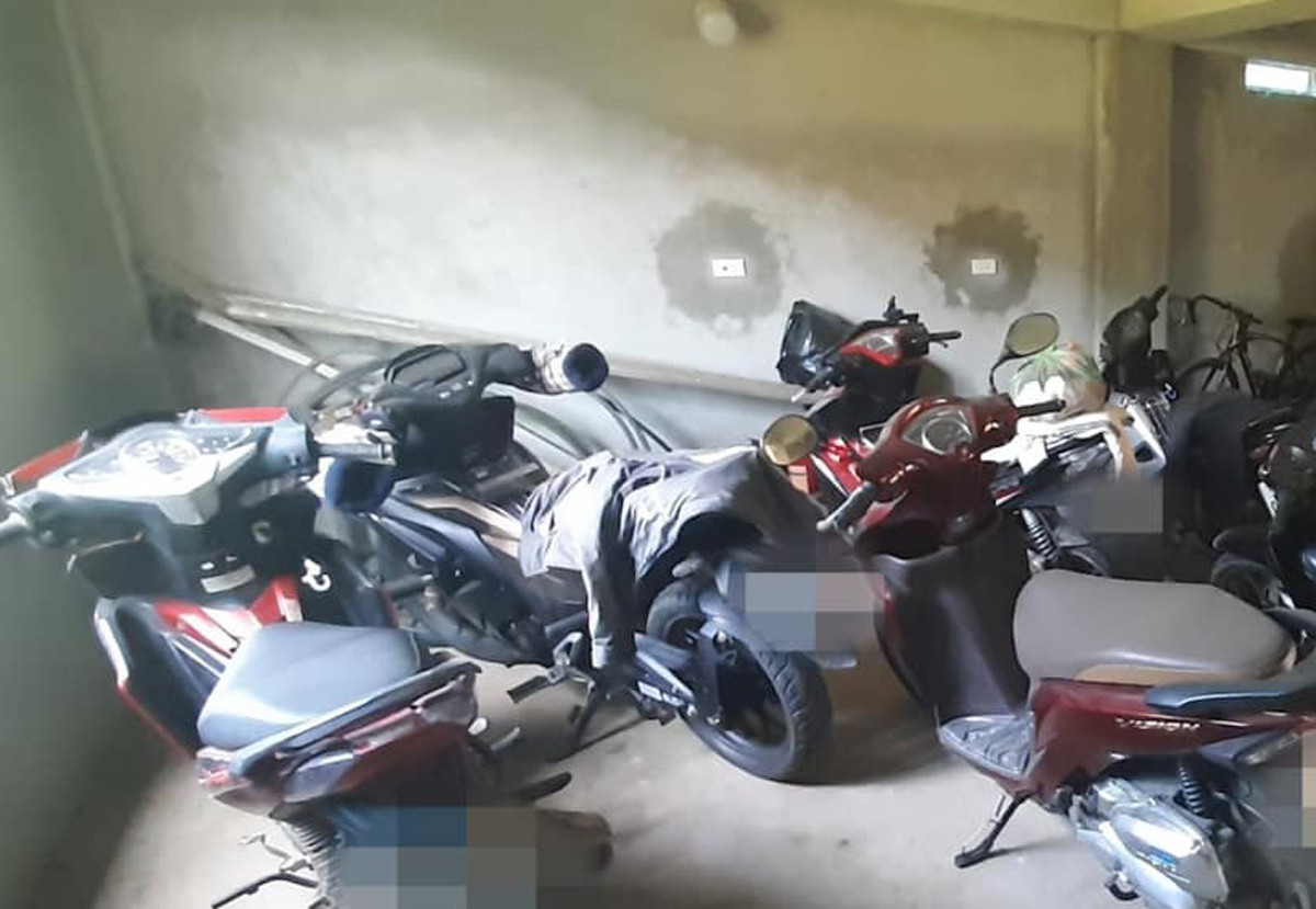 414301939 404499131908896 3187173108478792978 n.jpg