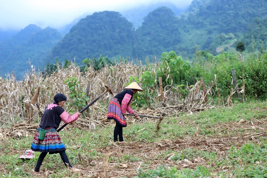 Câu lạc bộ liên thế hệ: Điểm tựa vững chắc đối với người cao tuổi ở Vân Hồ