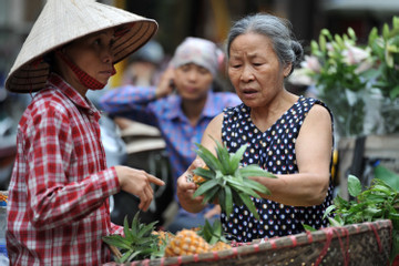 Đa dạng sân chơi 'sống vui, sống khỏe' cho người cao tuổi