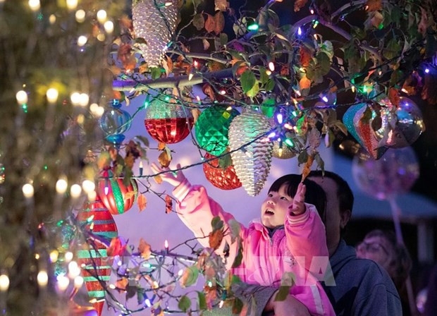 Vietnam among biggest exporters of Christmas decoration products to US hinh anh 1