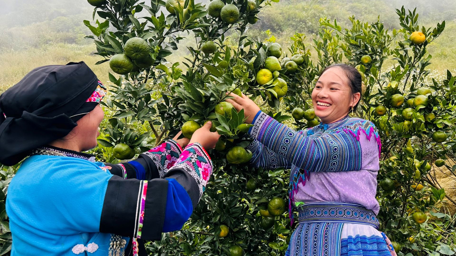 anh muong khuong.jpg