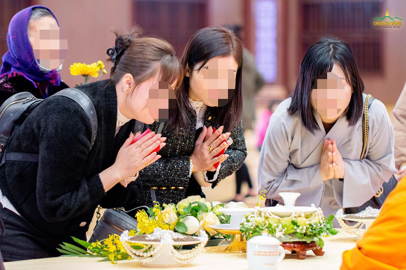 z5014958388513 217d713252c185a09d80ed7fe14e8bac.jpg