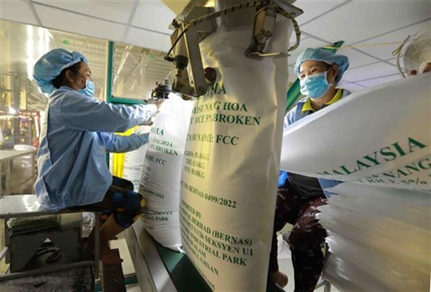 2023 export success boosts rice sector outlook hinh anh 1