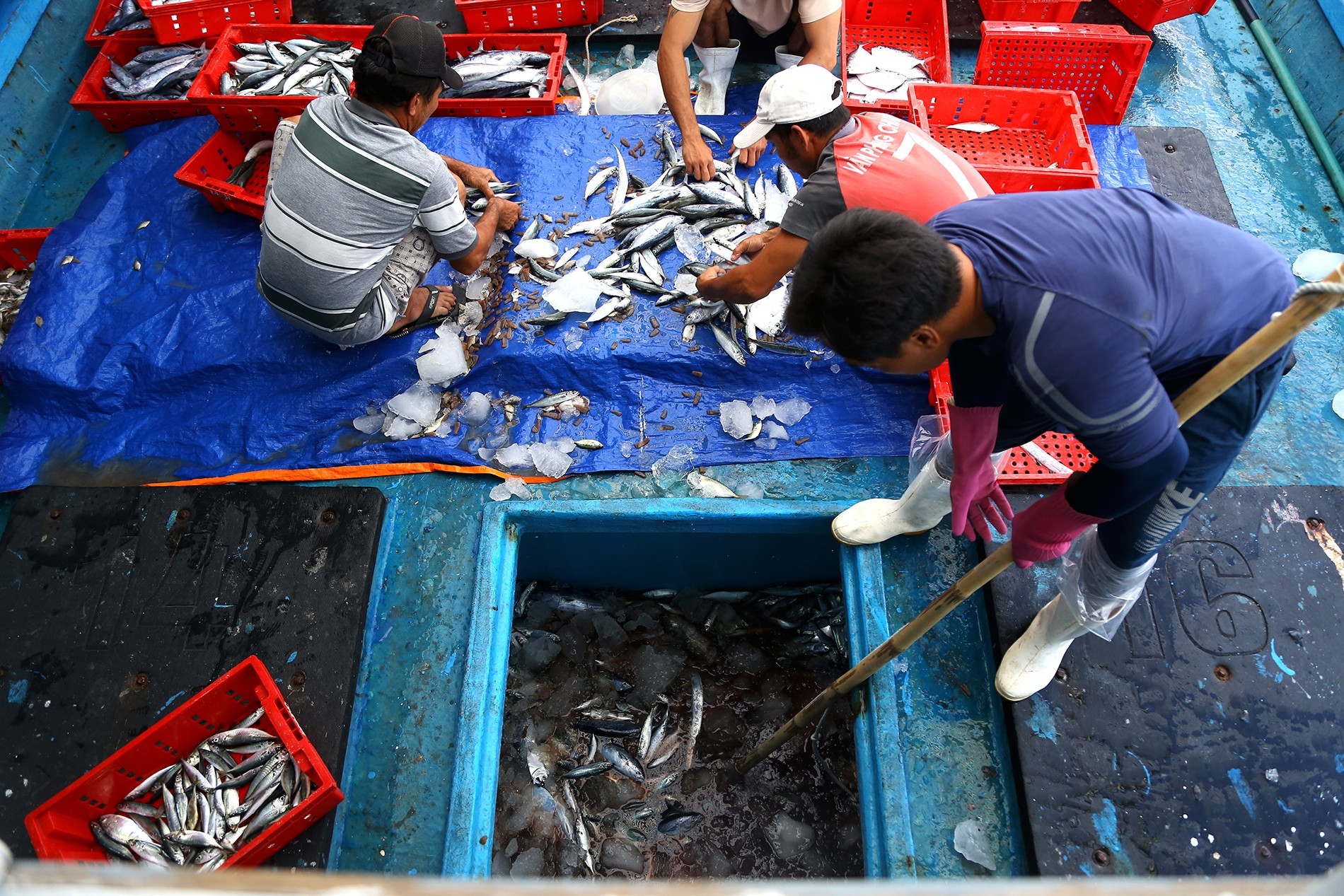 Chống khai thác IUU: Phải tuyên truyền để ngư dân thay đổi nhận thức