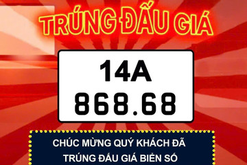 Đấu giá biển số chiều 29/12: Biển 'lộc phát' của Quảng Ninh giá gần 1,8 tỷ đồng
