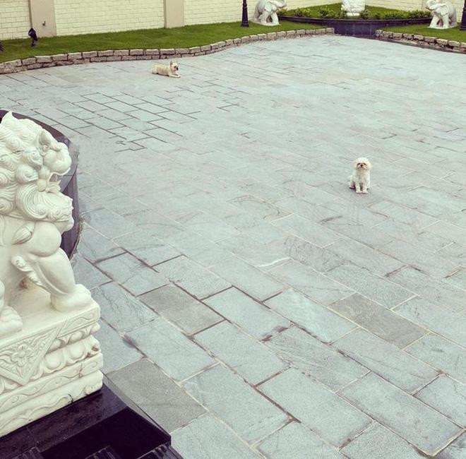 Linh Rin sống thế nào trước khi