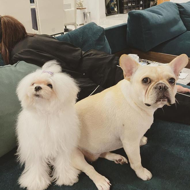 Linh Rin sống thế nào trước khi