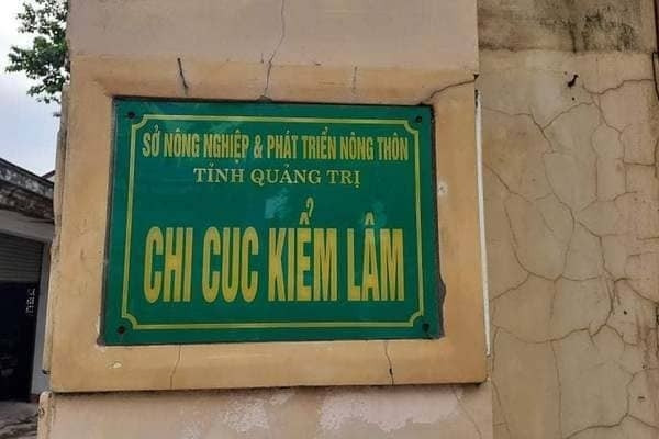 Khởi tố nguyên Chi cục trưởng Chi cục Kiểm lâm tỉnh Quảng Trị