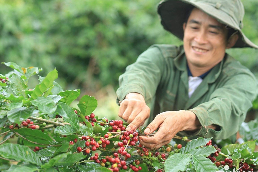 Một năm trúng đậm chưa từng có, hàng chục nghìn 'nông dân thành tỷ phú'