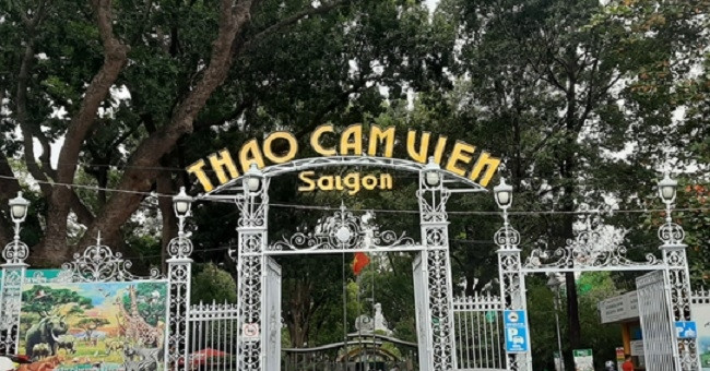 Pangolin successfully gives birth at Saigon Zoo