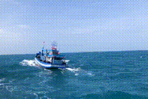 Tàu cá chở 35.000 lít dầu DO không rõ nguồn gốc bị bắt giữ trên biển