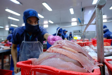 Vietnam’s catfish share shrinks amid stiff competition in global market
