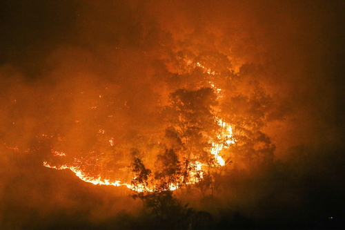 Cao điểm mùa hanh khô, cảnh báo 'nóng' về cháy rừng