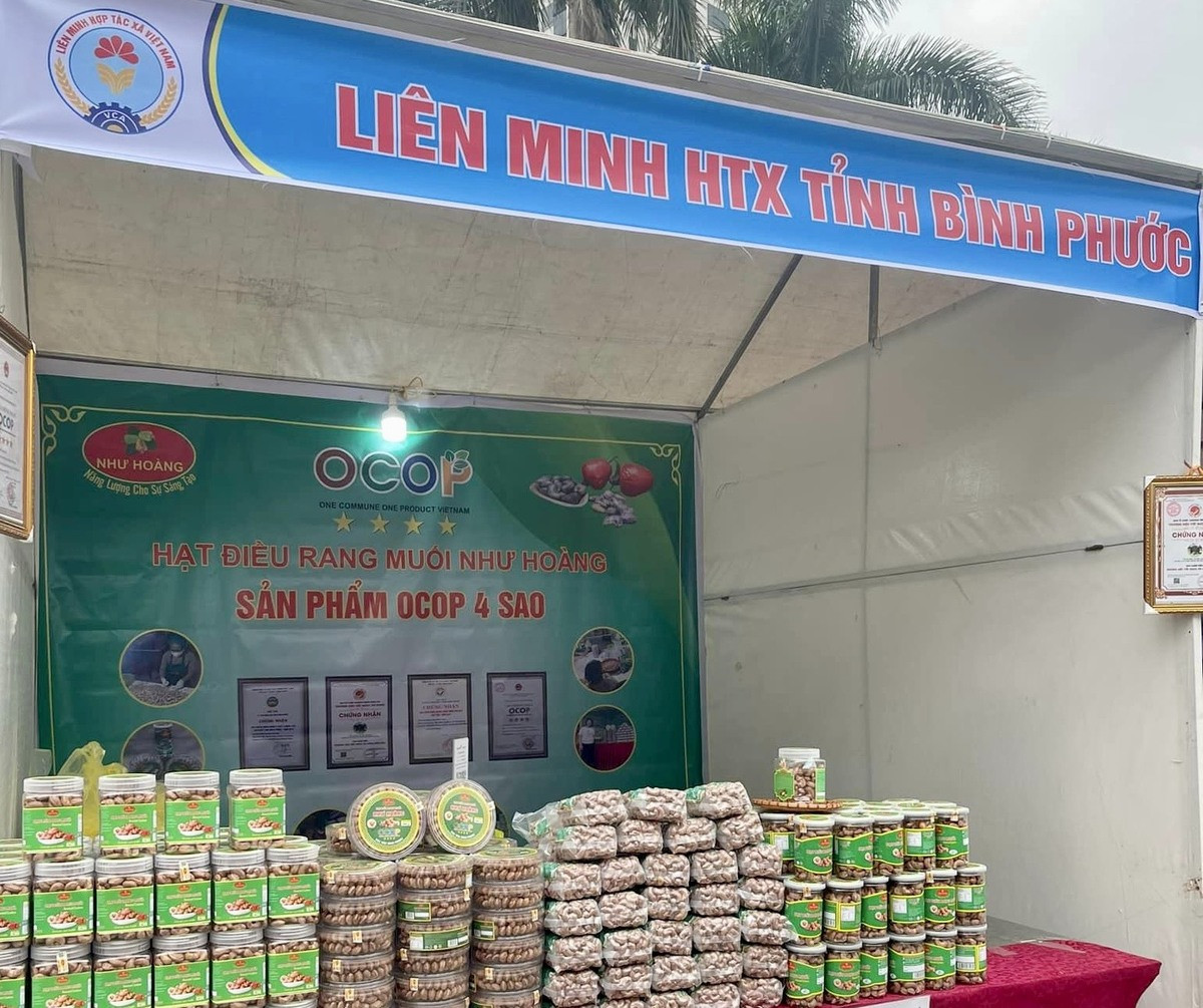 35 hat dieu binh phuoc.jpg