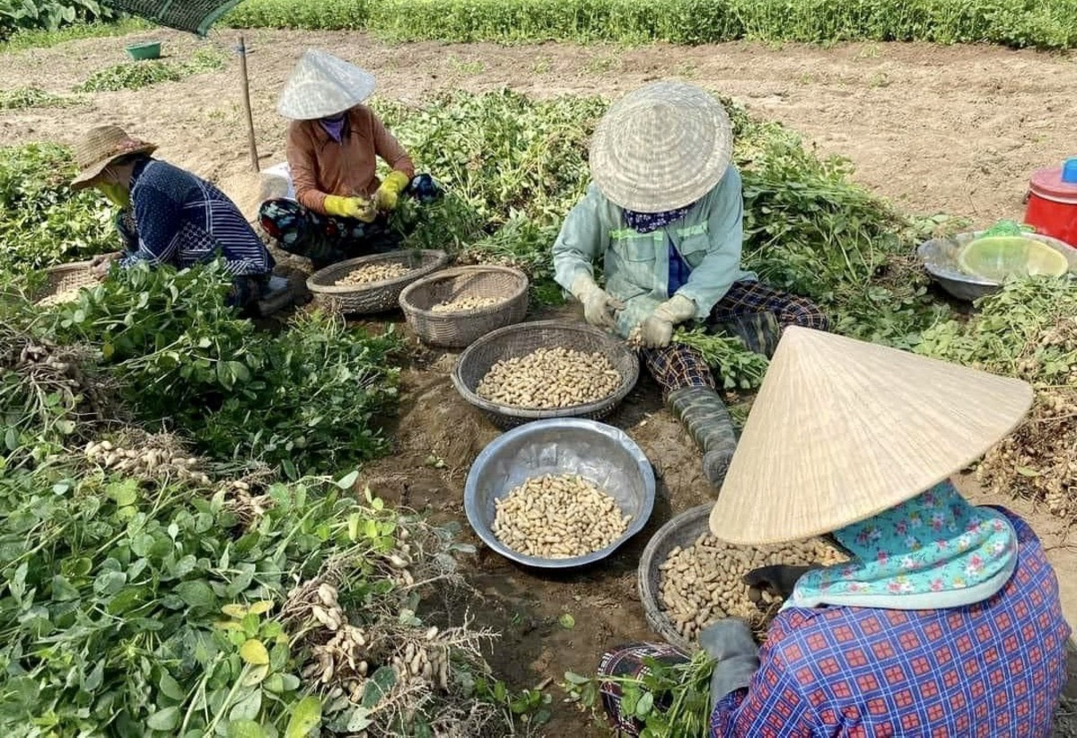 39 nong nghiep khanh hoa.jpg