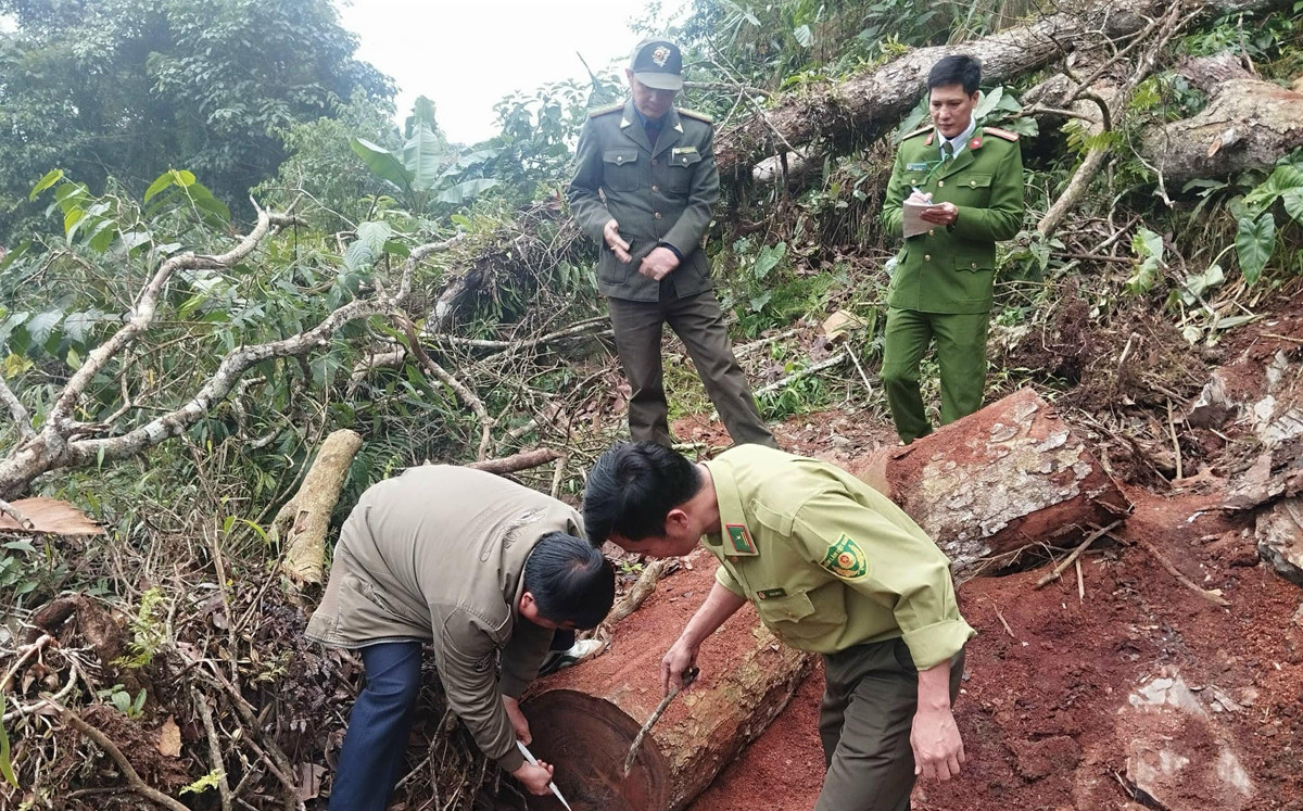 414683118 684243510541164 5603558644396136317 n.jpg