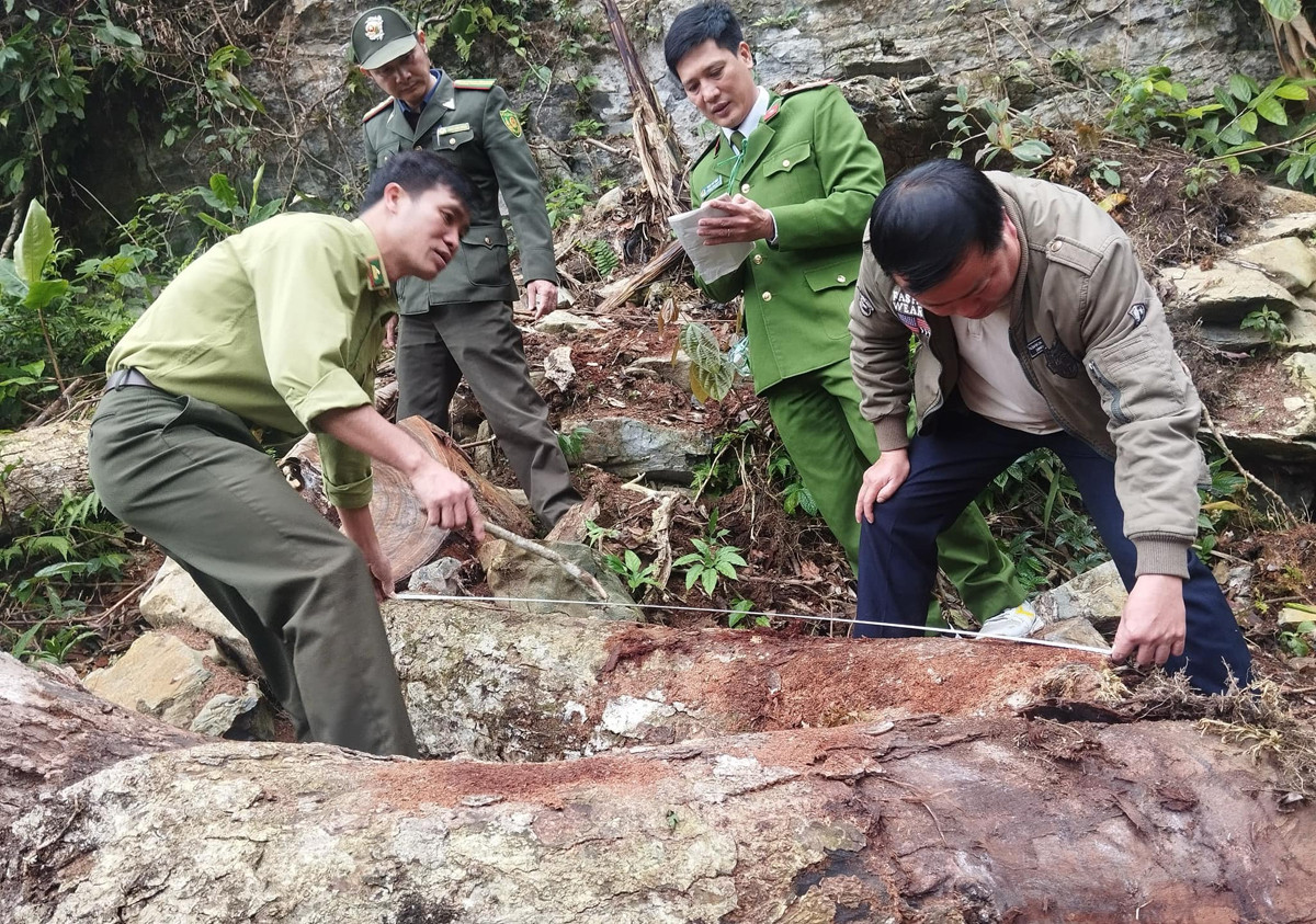 414745593 684243487207833 6570452038291163405 n.jpg