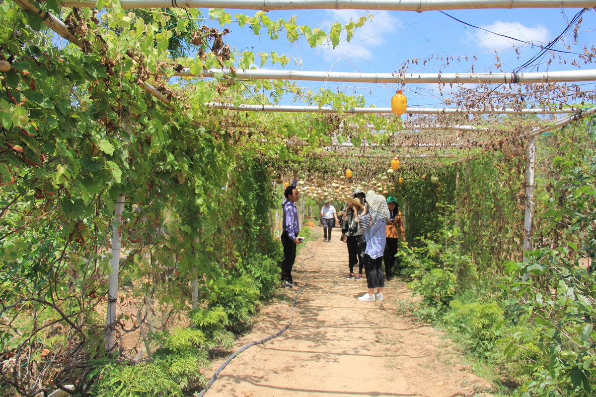 8 phat trien nong nghiep xanh.jpg