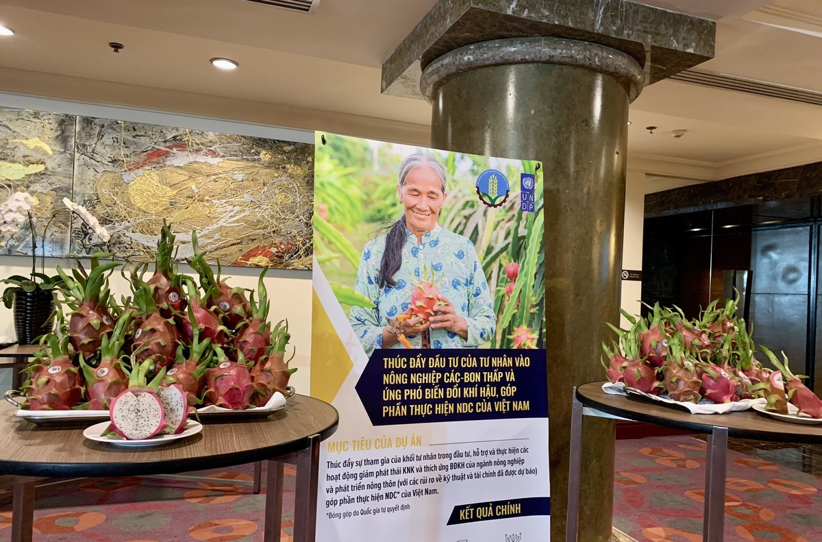 9 hanh trinh phat trien ben vung cua thanh long viet nam.jpg