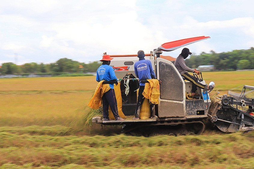 An Giang đẩy mạnh xây dựng HTX ứng dụng công nghệ thông tin