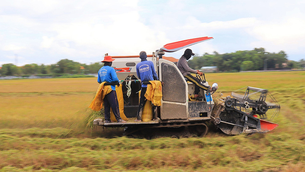 anh tin an giang.jpg