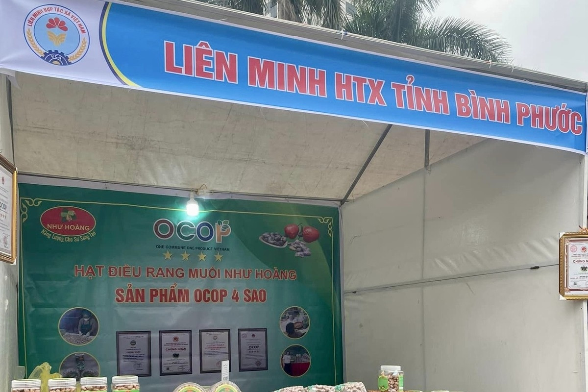 Bình Phước đề ra nhiều giải pháp phát triển kinh tế tập thể