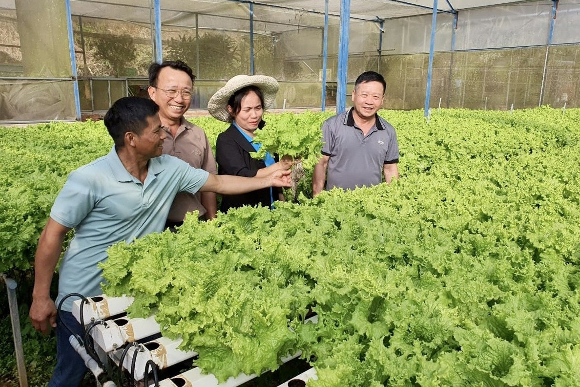 Lâm Đồng luôn đầu tư và nâng cao hiệu quả của kinh tế tập thể