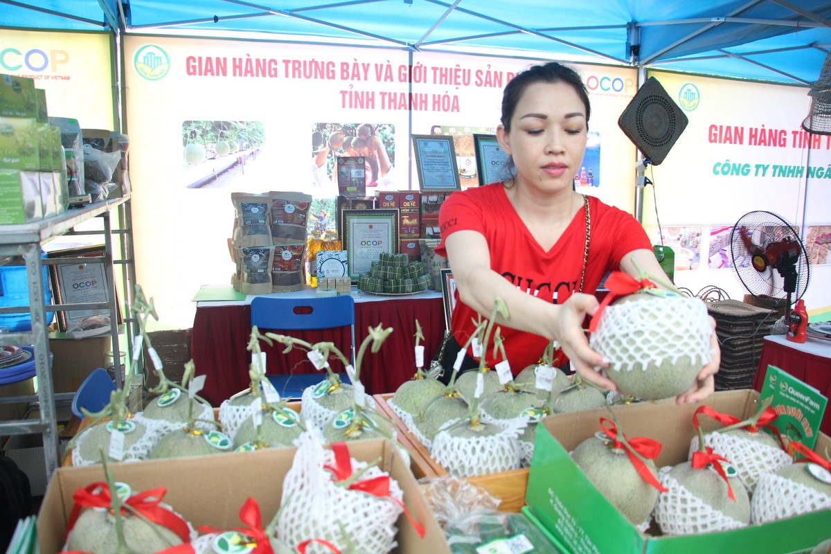 Ngành nông nghiệp sẽ tập trung phát triển nông nghiệp theo hướng bền vững