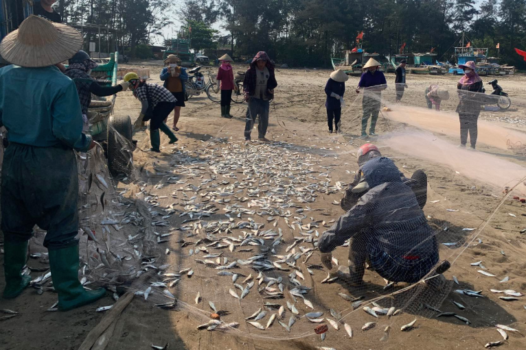 ngu dan chuye nghe.png