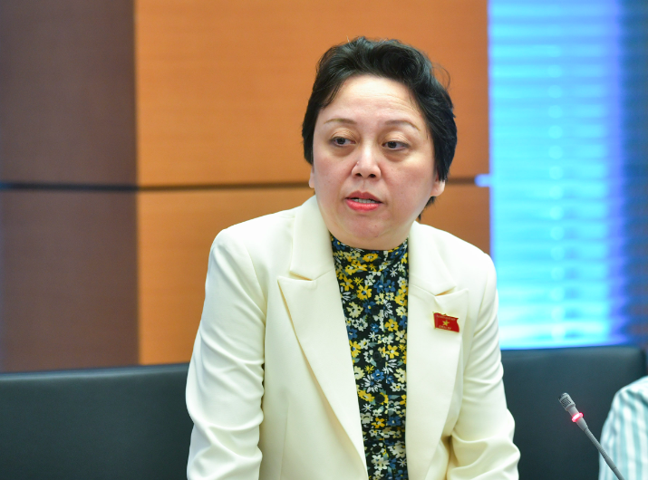 pham khanh phong lan.png