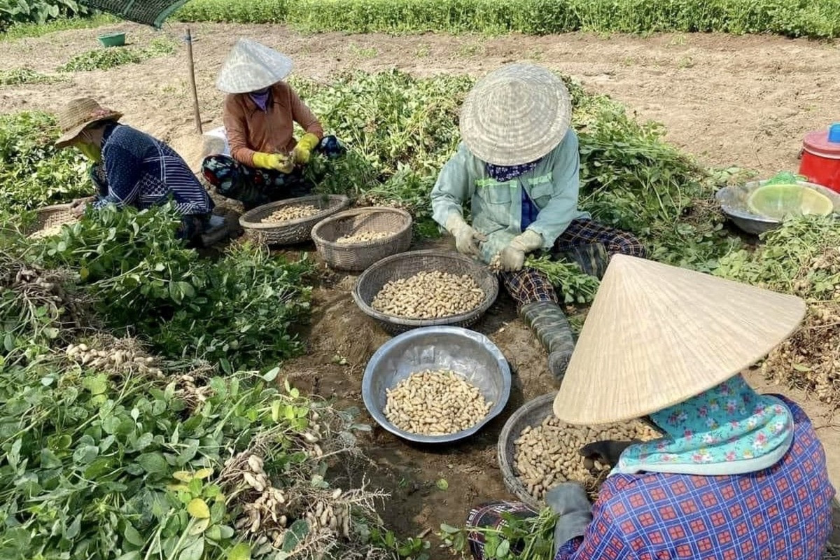 Quỹ hỗ trợ phát triển HTX tỉnh Khánh Hòa dự kiến đi vào hoạt động trong năm 2024