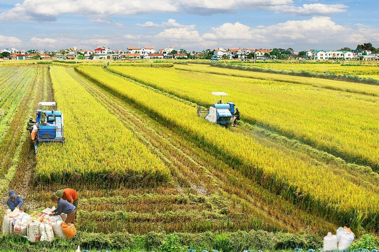 Thái Bình thành trung tâm sản xuất nông nghiệp hàng đầu vào năm 2030