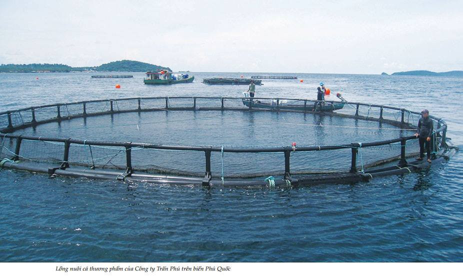 51024300 2243181522613747 3211071293138927616 n.jpg