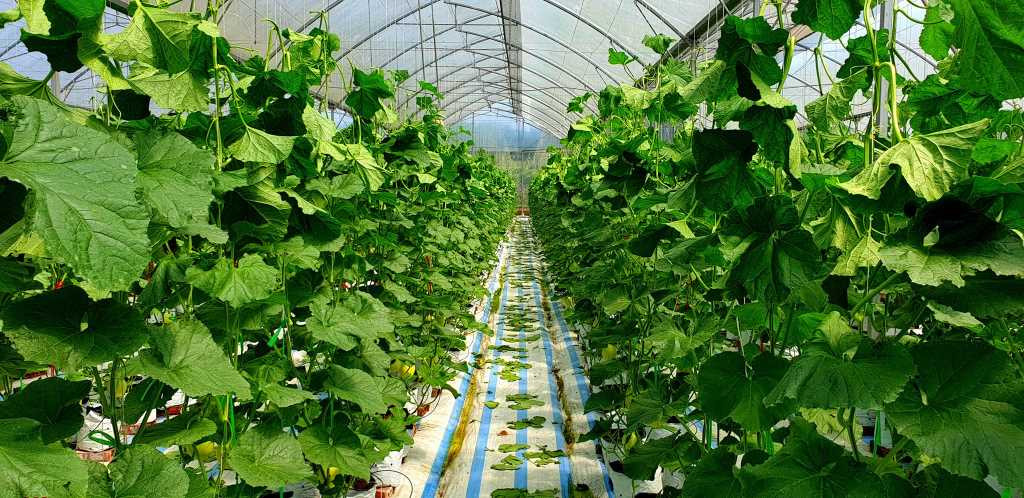 anhbai quang ninh.jpg