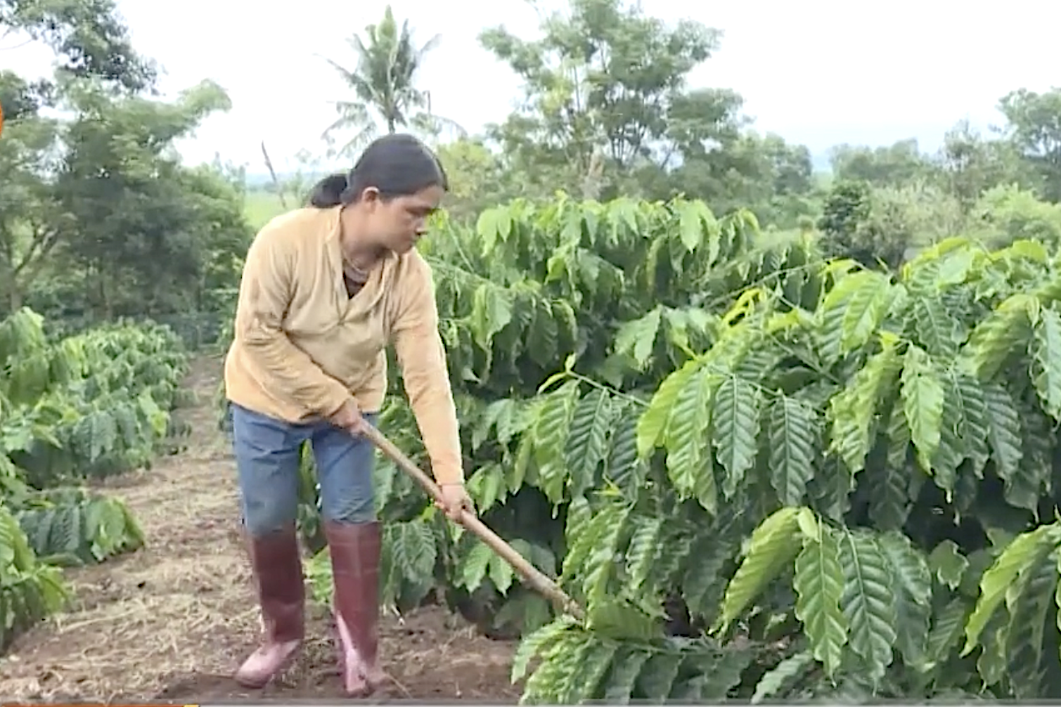 Đào tạo quản lý tài chính cho vùng đồng bào DTTS và miền núi