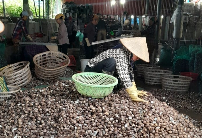 nghe an.png